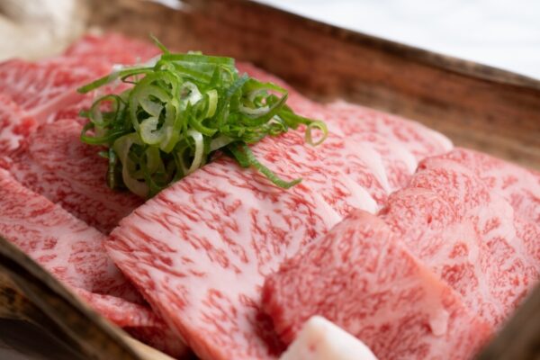 牛肉の部位と特徴がホルモンまでまるわかり!美味しい食べ方も紹介!